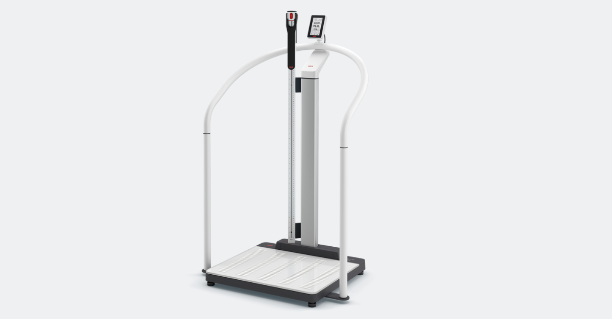 Mobile Handrail Scale